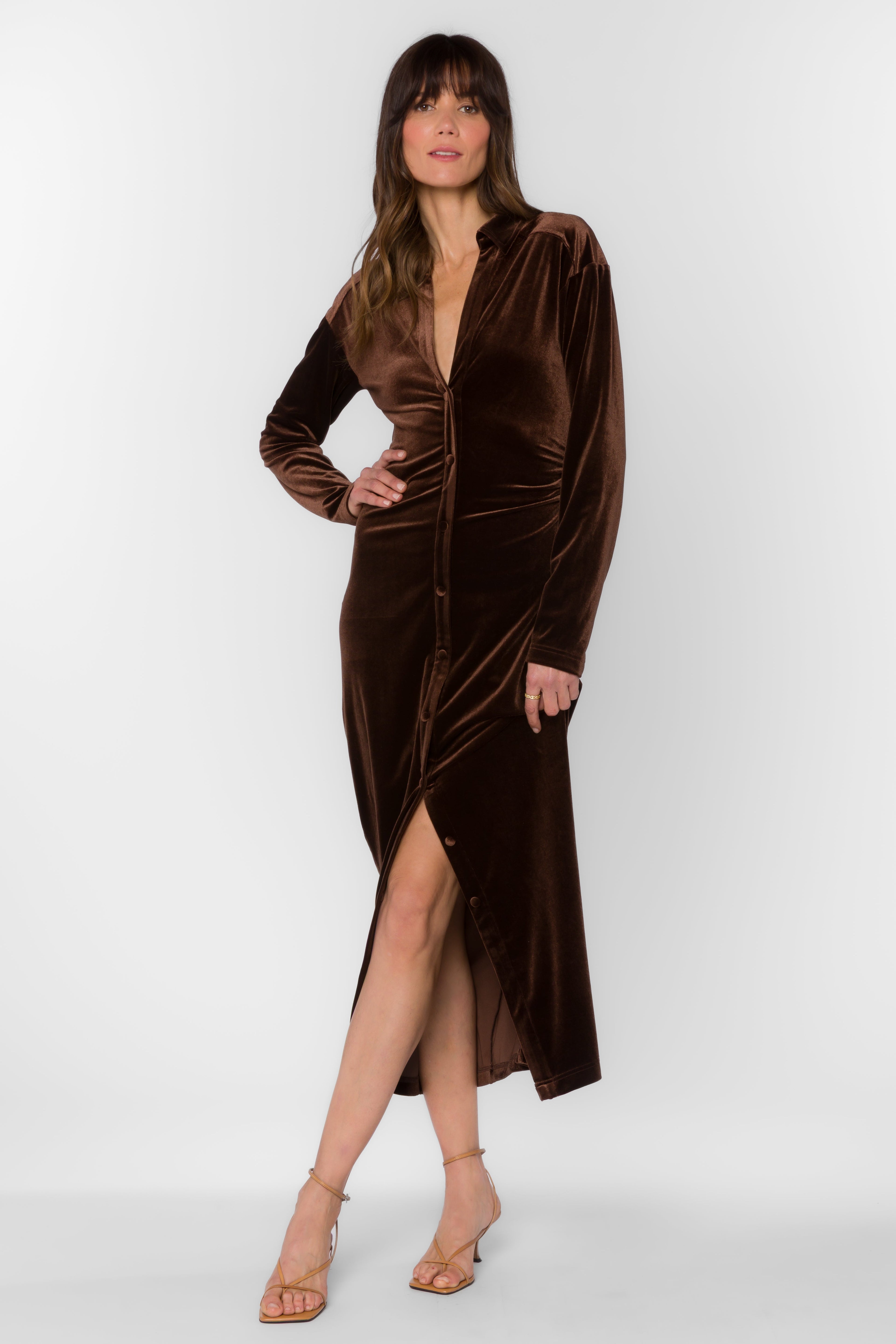 Phoenix Velvet Brown Dress